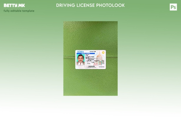 Модерен стил USA Iowa DL photolook FRONT шаблон